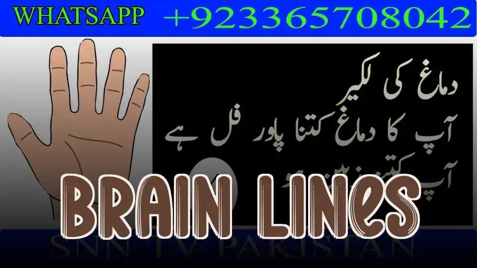 Brain Lines