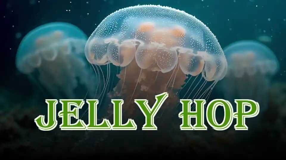 Jelly Hop