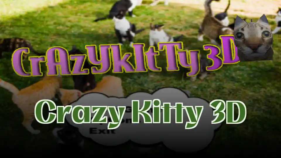 Crazy Kitty 3D