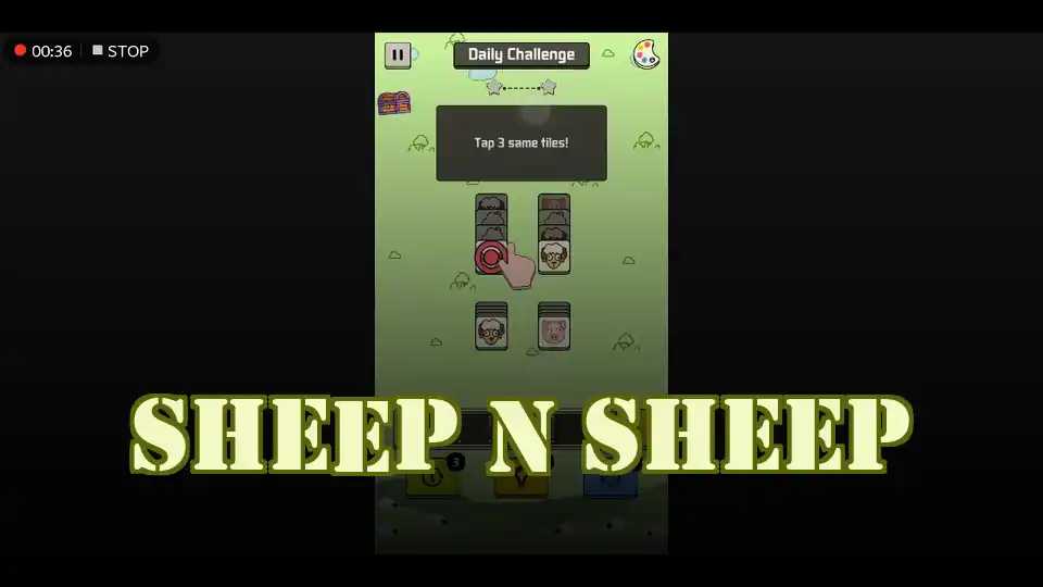 Sheep N Sheep