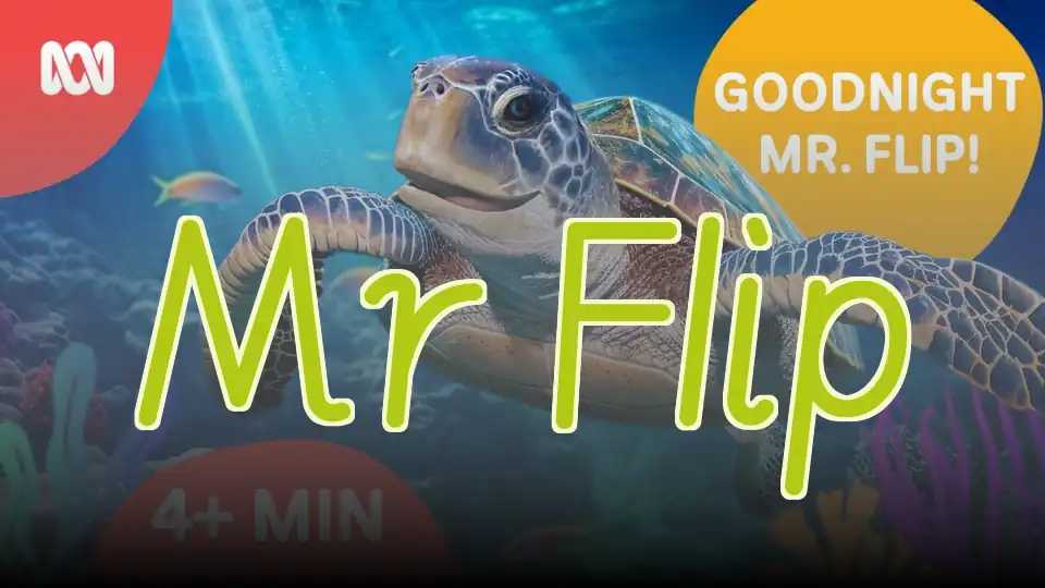 Mr Flip