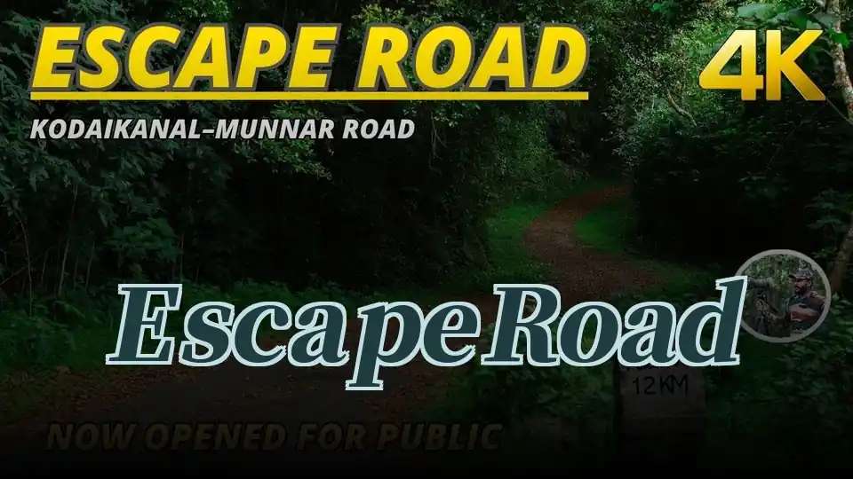 Escape Road