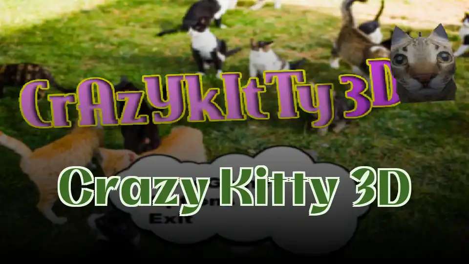Crazy Kitty 3D
