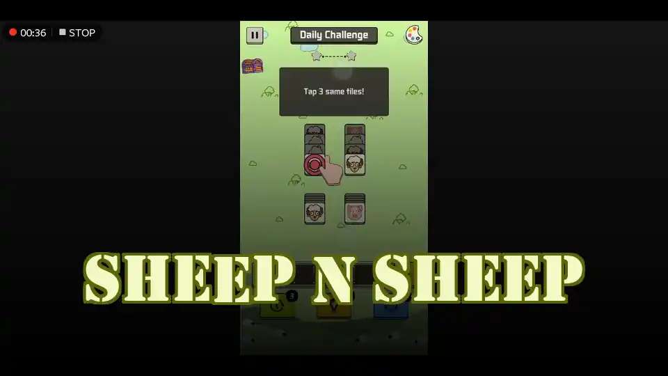 Sheep N Sheep
